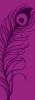 Peacock Feather - Purple