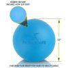 Lacrosse Massage Ball