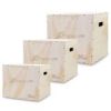 3-in-1 Wood Plyometric Jump Box